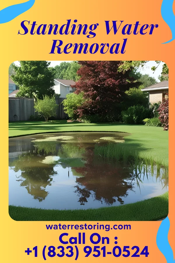 Standing Water Removal in Coyville, KS